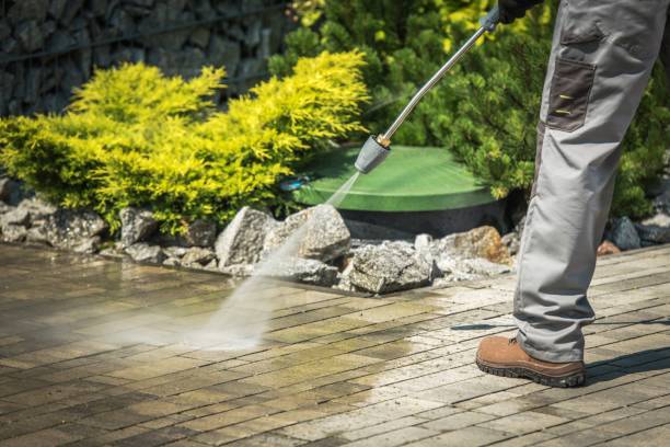 Best Solar Panel Cleaning  in Northvale, NJ