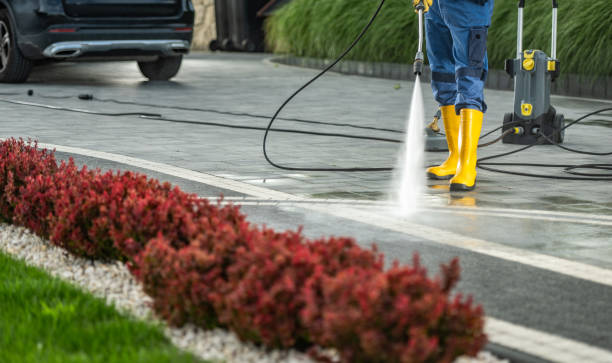 Best Driveway Pressure Washing  in Northvale, NJ